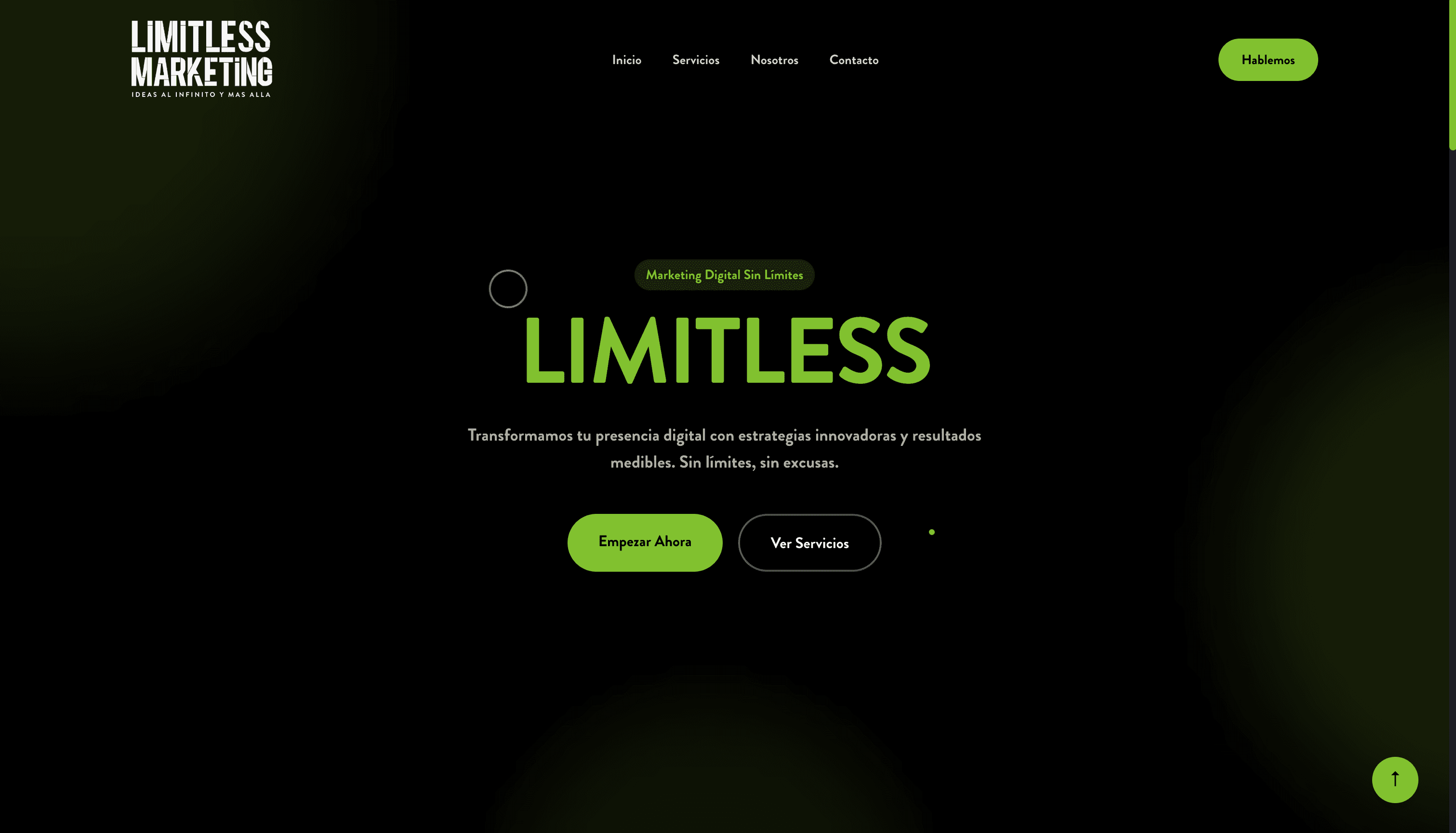 Screenshot del proyecto Limitless Marketing